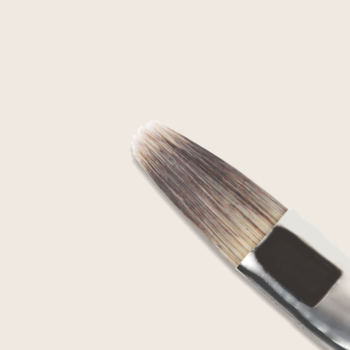 GenerationRed Pinsel Gr. 6 Katzenzunge