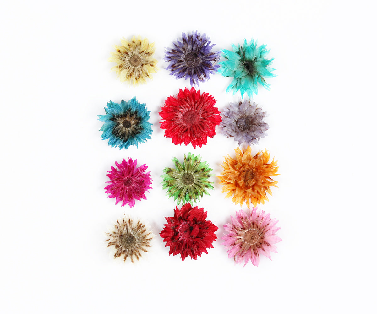 Emmi-Nail Dry Flowers -1-