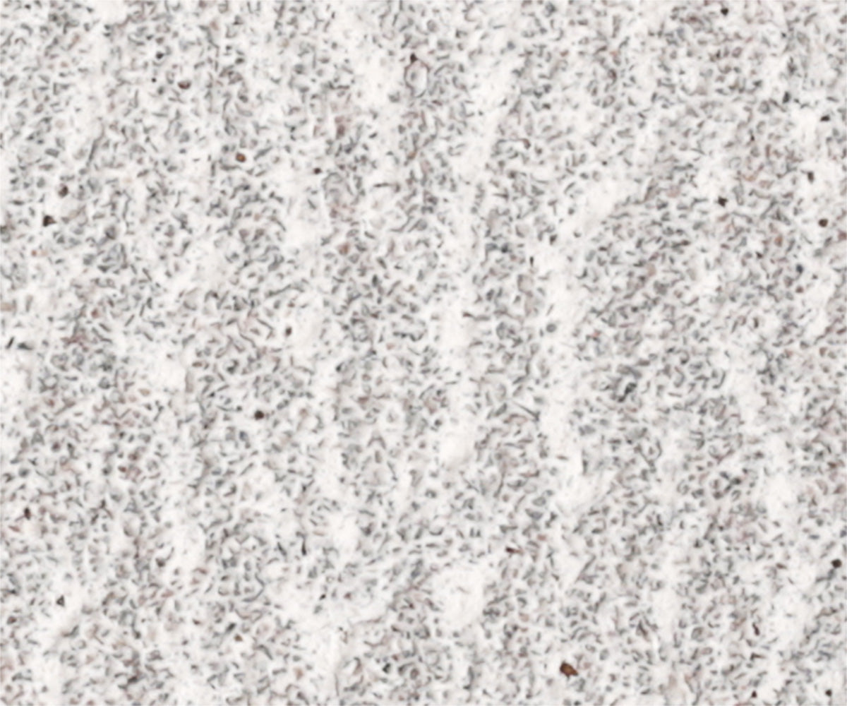 Lime professionnelle longue durée 100/180