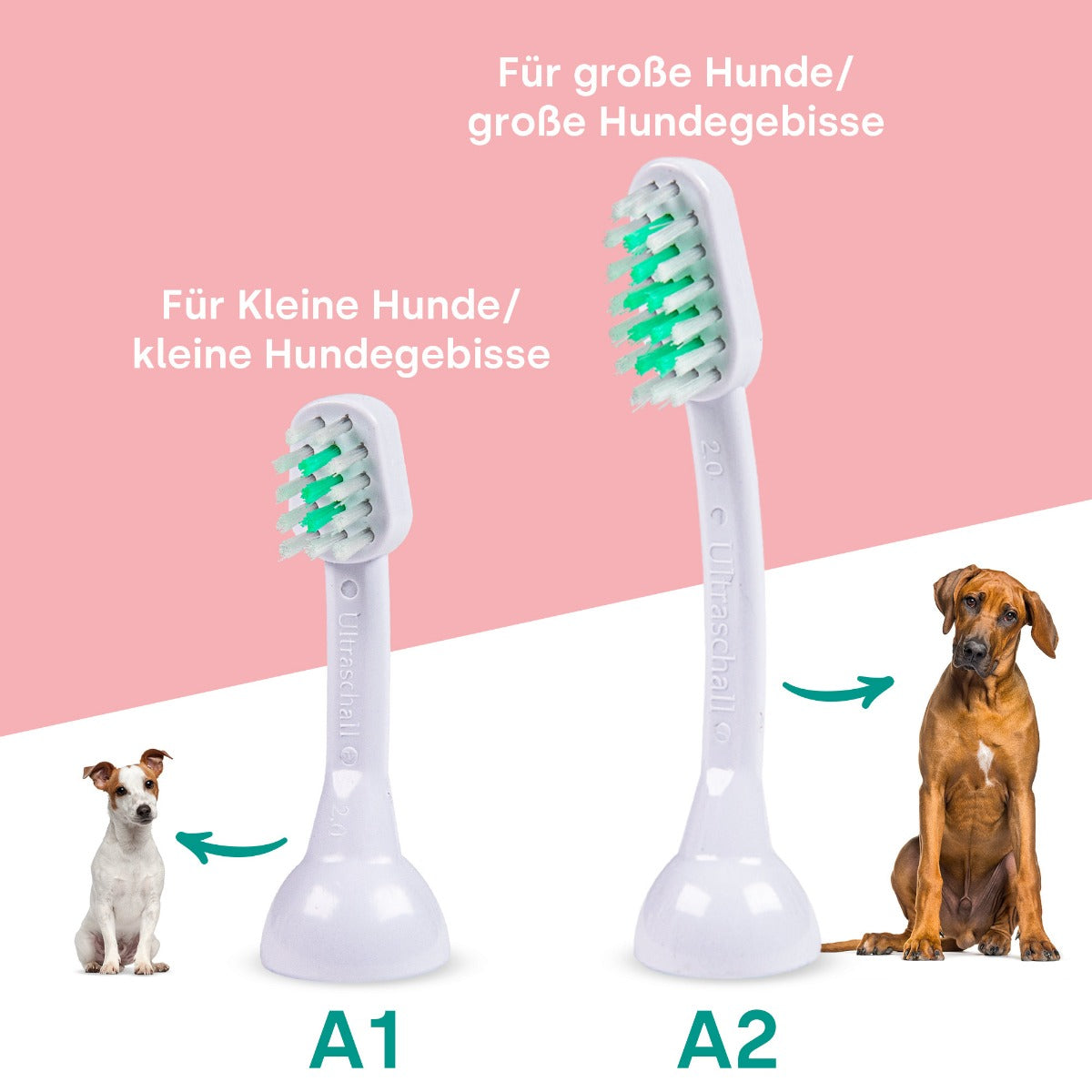 Emmi-pet A1 (S2) - Ultraschallaufsätze für Tiere