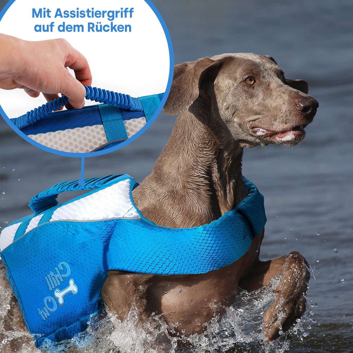 Schwimmweste für Hunde Gr. S