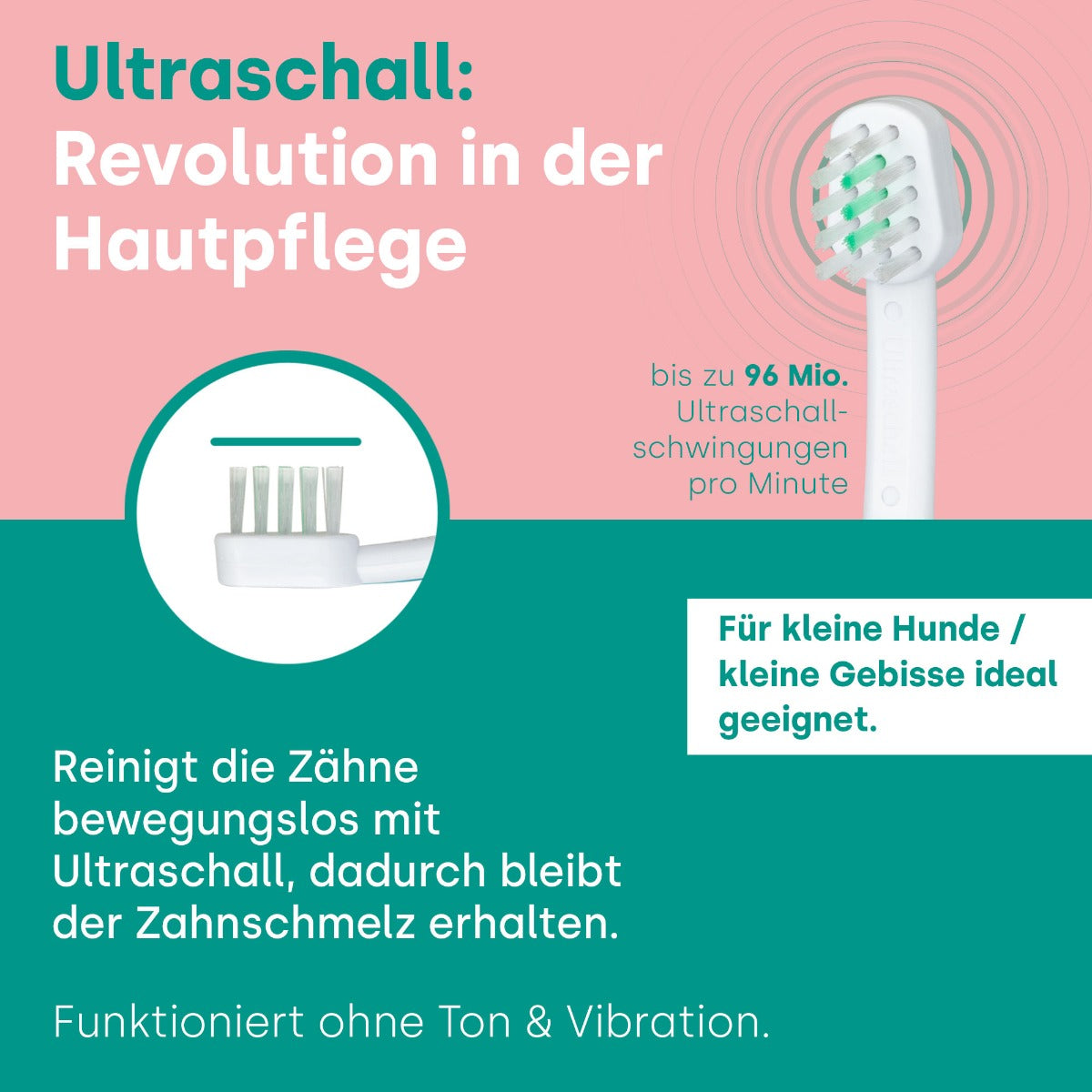 Emmi-pet A1 (S2) - Ultraschallaufsätze für Tiere