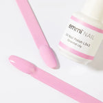 Shellac Farben Sommer