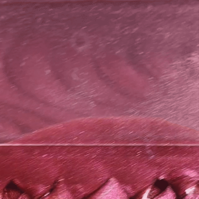 Shellac UV Polish Guilty Red 15ml -L058-