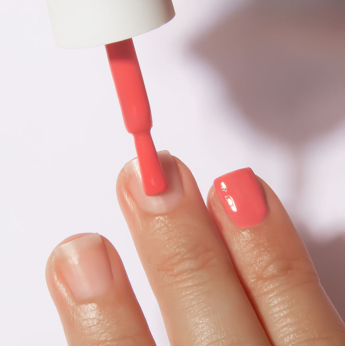 Shellac/UV varnish workshop including Shellac starter set
